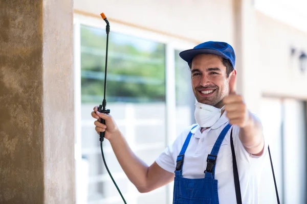 Belmont Wasp Removal