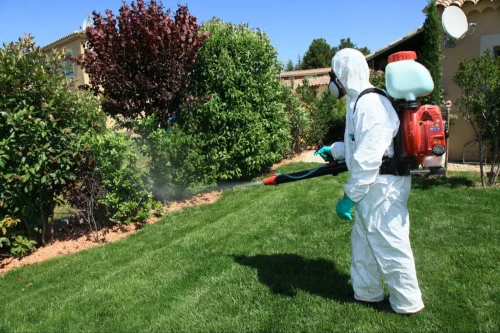 Belmont Mosquito Control