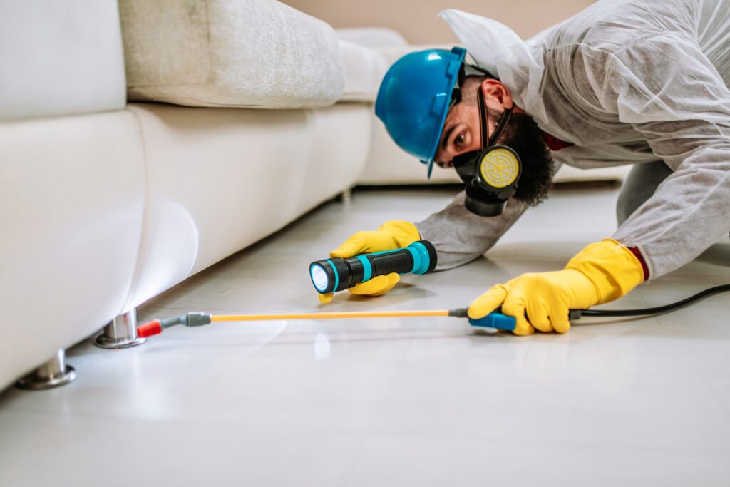 Belmont Termite Control