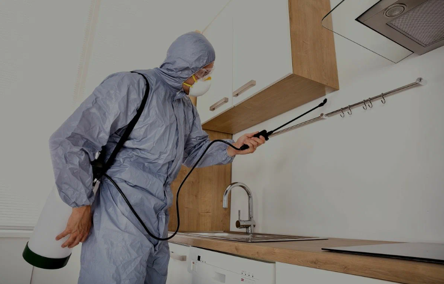 Belmont pest managment
